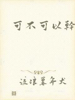 可不可以干湿你封面