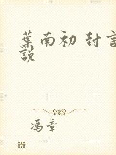 叶南初 封言小说