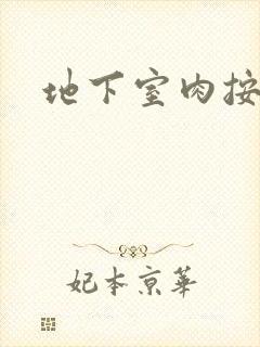 地下室肉按摩椅封面