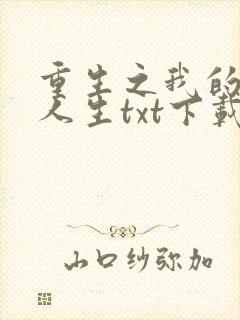 重生之我的书记人生txt下载封面