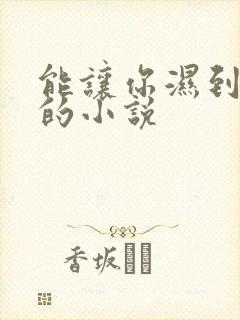 能让你湿到不行的小说