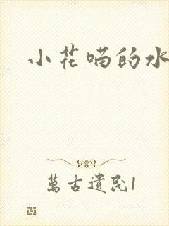 小花喵的水蜜桃封面