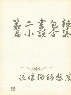 第二书包辣网短篇小说合集
