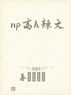 np高h辣文封面