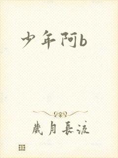 少年阿b