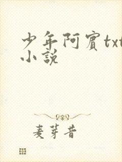 少年阿宾txt小说