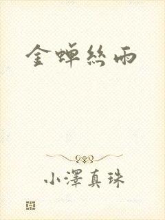 金蝉丝雨封面