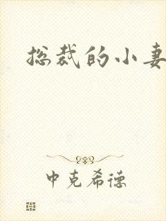 总裁的小妻子封面