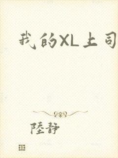 我的XL上司封面