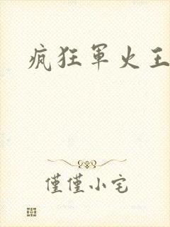 疯狂军火王封面