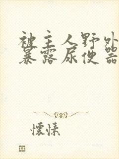 被主人野外调教暴露尿便器