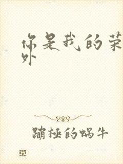 你是我的荣耀番外