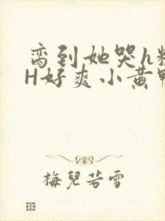 脔到她哭h粗话H好爽小黄鸭视频