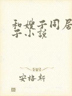 和嫂子同居的日子小说封面