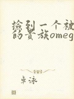 捡到一个被抹布的贵族omega