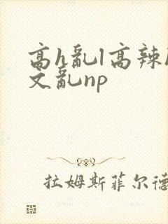 高h乱l高辣h文乱np