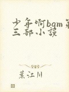 少年啊bgm第三部小说