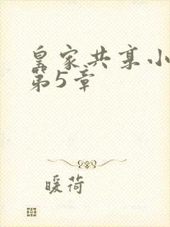 皇家共享小公主第5章