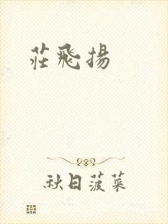 庄飞扬封面