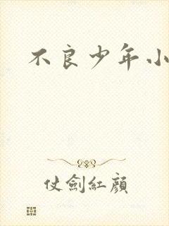 不良少年小说