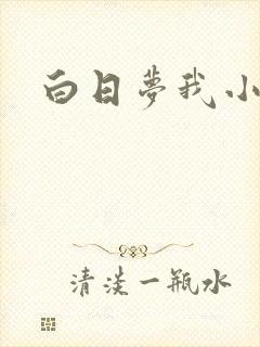 白日梦我小说