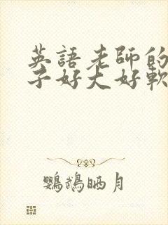 英语老师的小兔子好大好软水