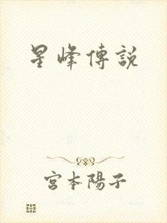 星峰传说封面