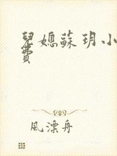 儿媳苏玥小说免费