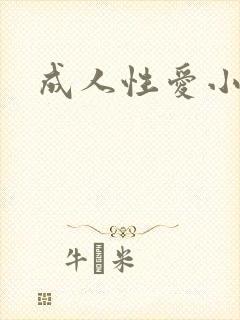 成人性爱小说封面