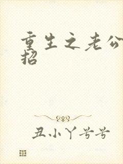 重生之老公请接招