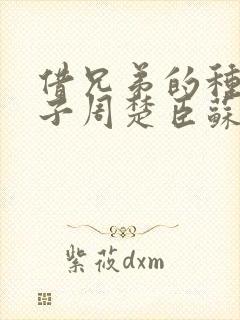 借兄弟的种生孩子周楚臣苏糖