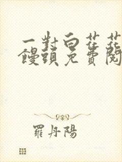 一对白花花的大馒头免费阅读