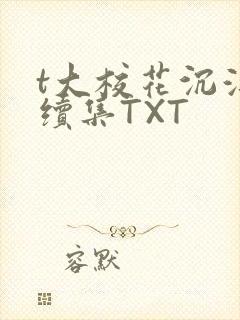 t大校花沉浮录续集TXT