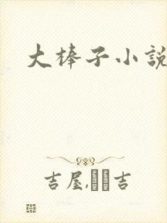 大棒子小说