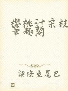 樱桃汁宋枝江野笔趣阁