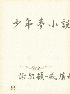 少年梦小说
