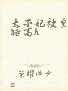 太子妃被皇上强睡高h