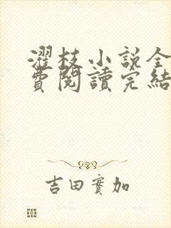 濯枝小说全文免费阅读完结封面