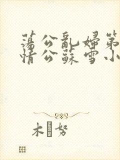 荡公乱妇第1章情公苏雪小说