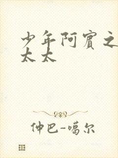 少年阿宾之房东太太