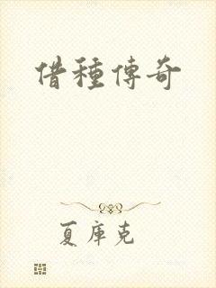 借种传奇封面