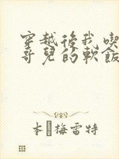 穿越后我吃到了哥儿的软饭炉山灰