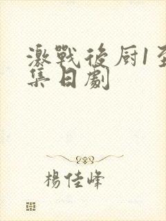 激战后厨1至5集日剧