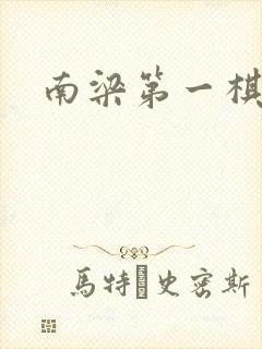 南梁第一棋手封面