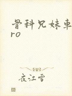 骨科兄妹车多pro