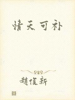 情天可补