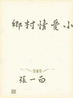乡村情爱小说封面
