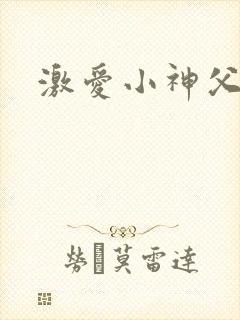 激爱小神父