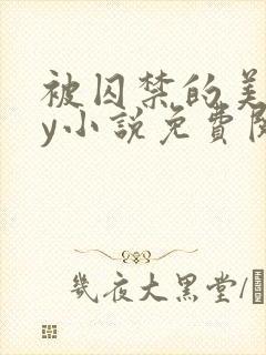 被囚禁的美人by小说免费阅读封面