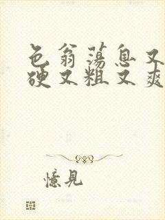 色翁荡息又大又硬又粗又爽小莹